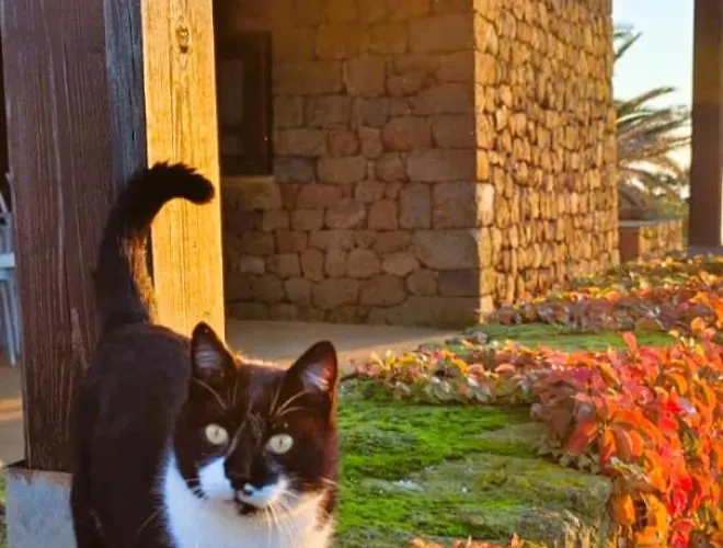 Dammuso Tramonto Piscina Privata *